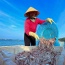 Cá cơm tươi đã làm sạch, đánh bắt tự nhiên